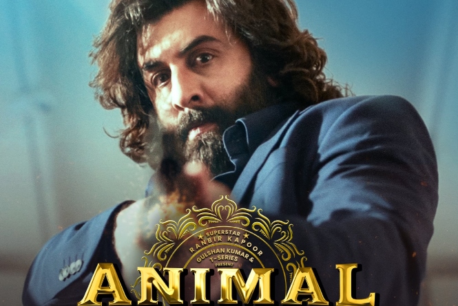 Animal Box Office Collection Day 14